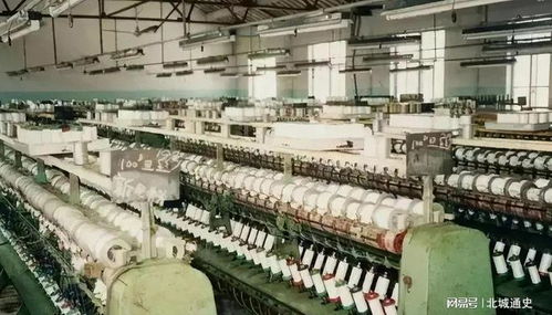 新晉中國女首富的財富密碼 剖析“年營收7800億，超華為成最大民企”背后的電信業務版圖